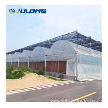 Commercial Plastic Film Tunnel Greenhouse for strawberry